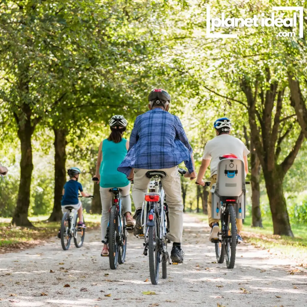A cyclist commuting through a scenic urban park, illustrating the joy of eco-friendly transportation.