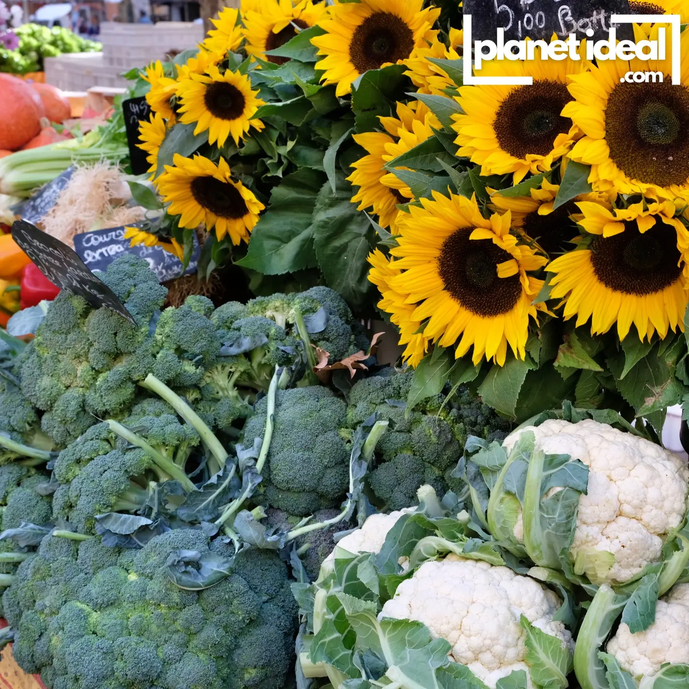 A farmers’ market stand overflowing with vibrant seasonal produce, with signs showing lower prices.