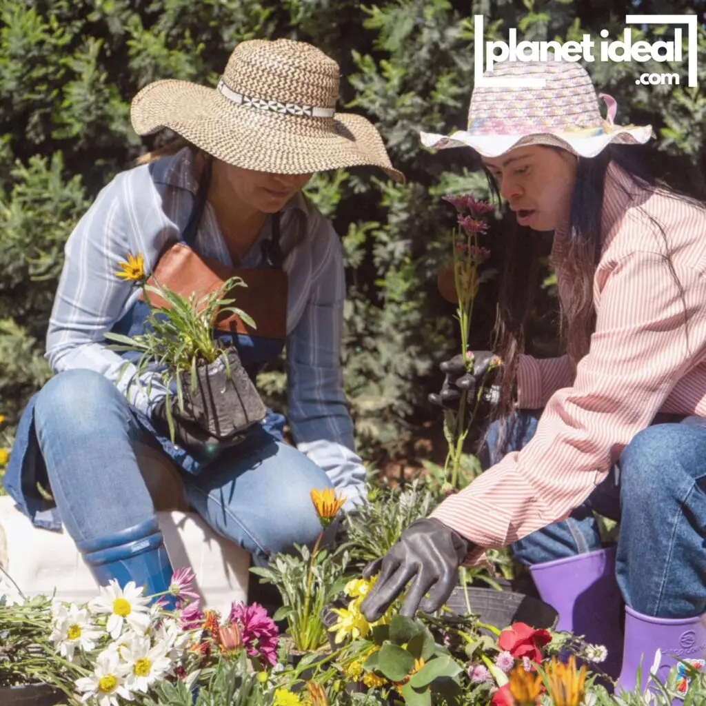 A lush garden with someone tending to plants, showcasing the joy of connecting with nature.