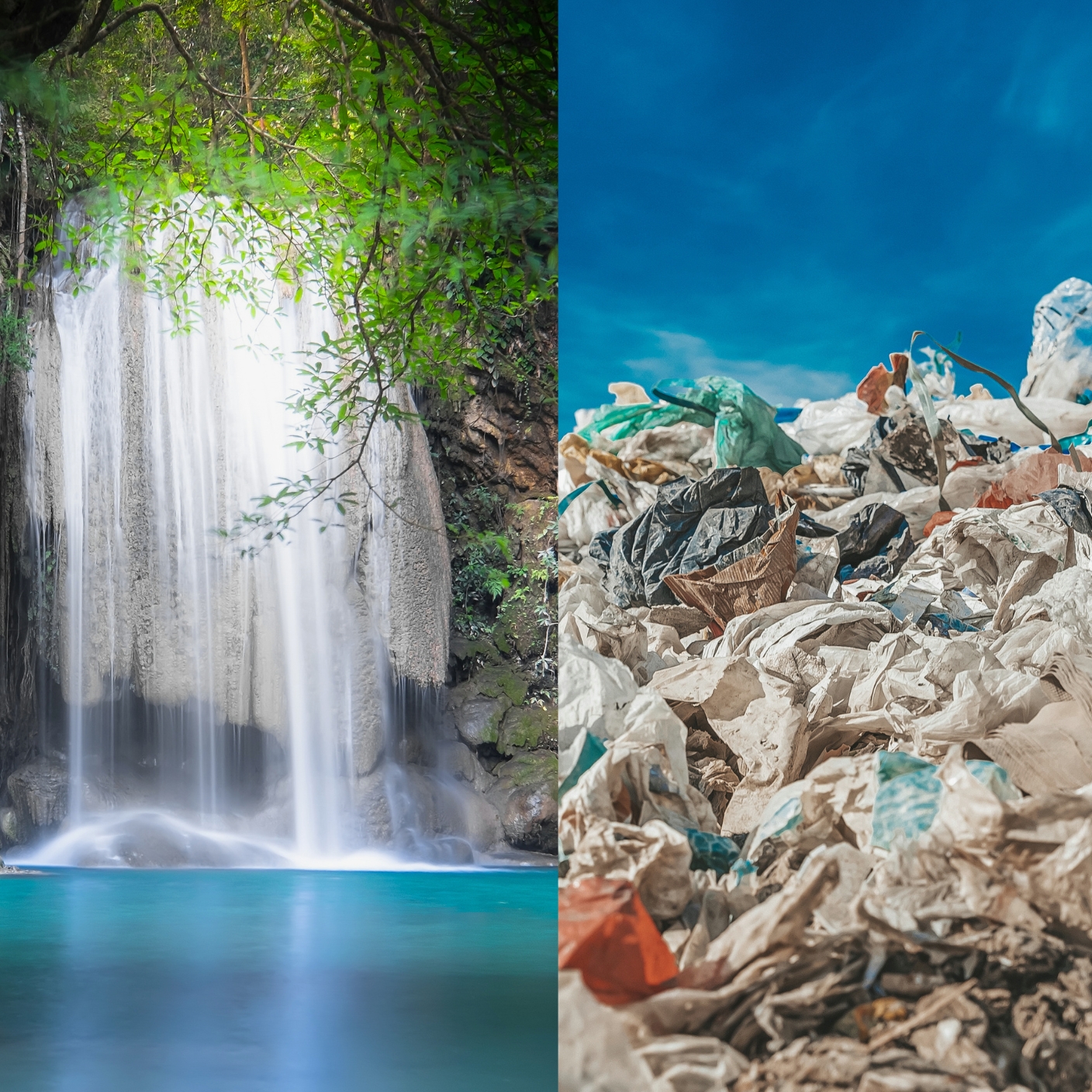 A stark contrast between a landfill overflowing with plastic waste and a clean, green environment with plants and wildlife