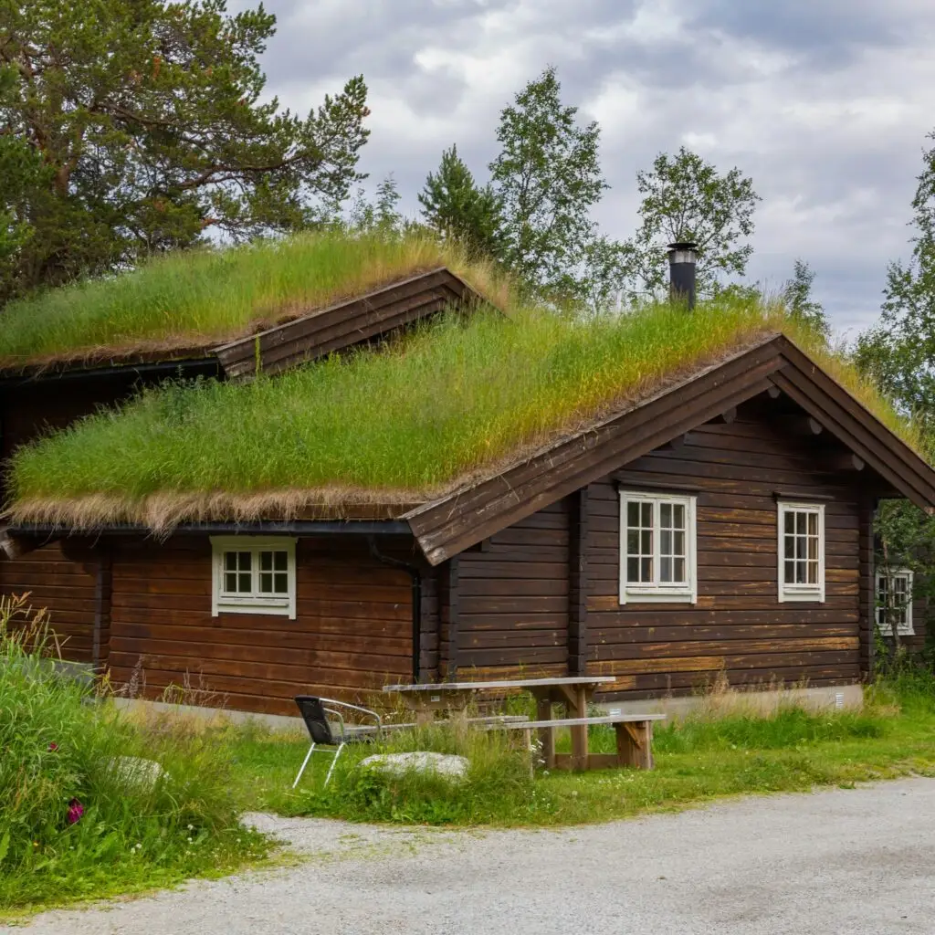 A stunning view of an eco-lodge nestled in a forest