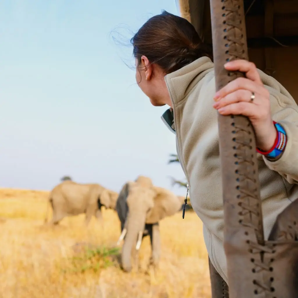 A traveler observing wildlife from a safe distance