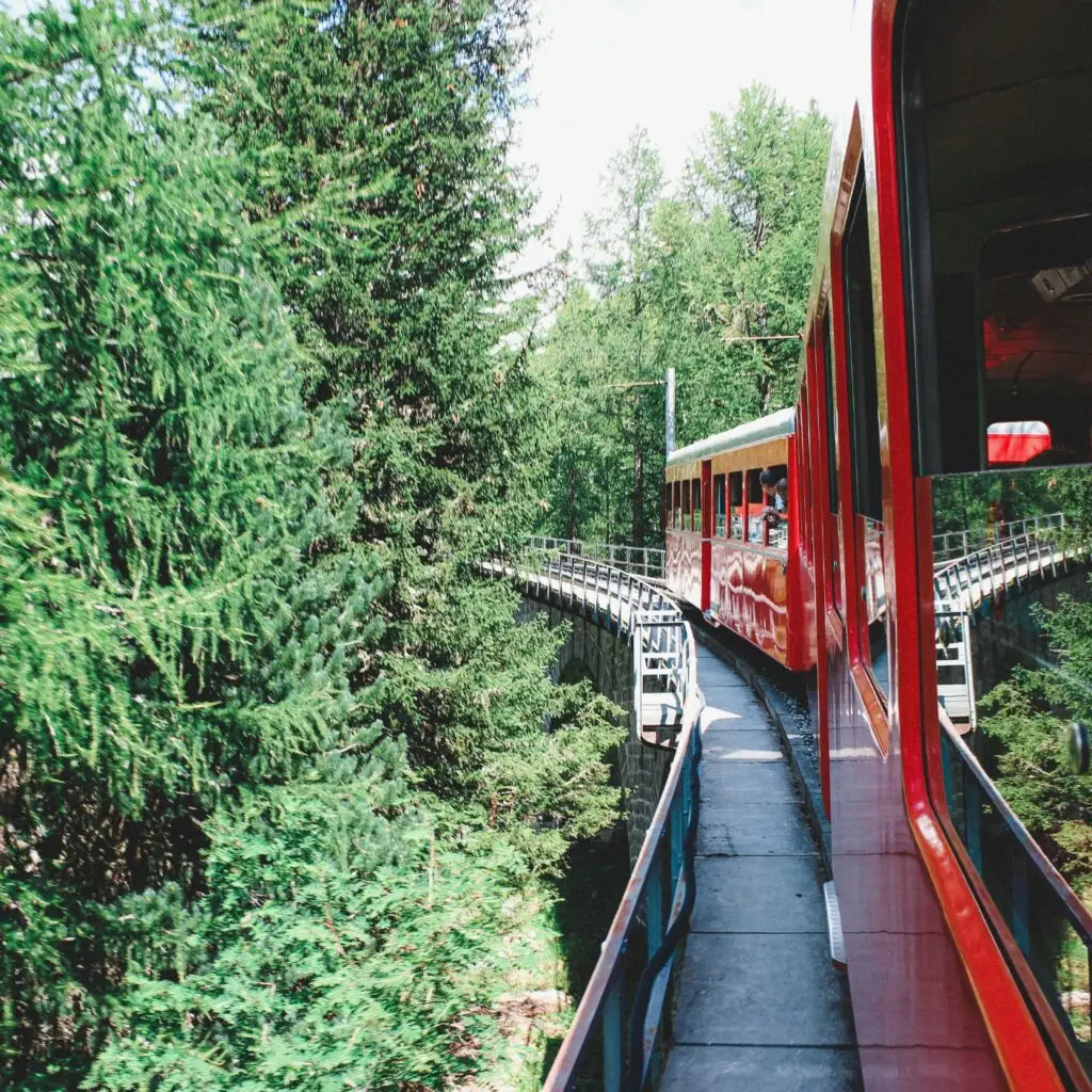 Scenic Train Ride Through Nature