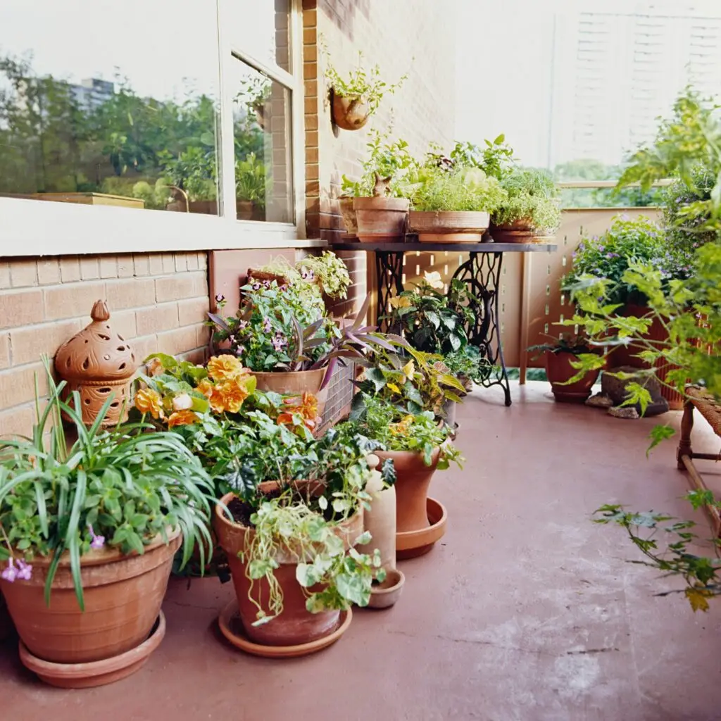 Variety of Containers for Urban Gardening