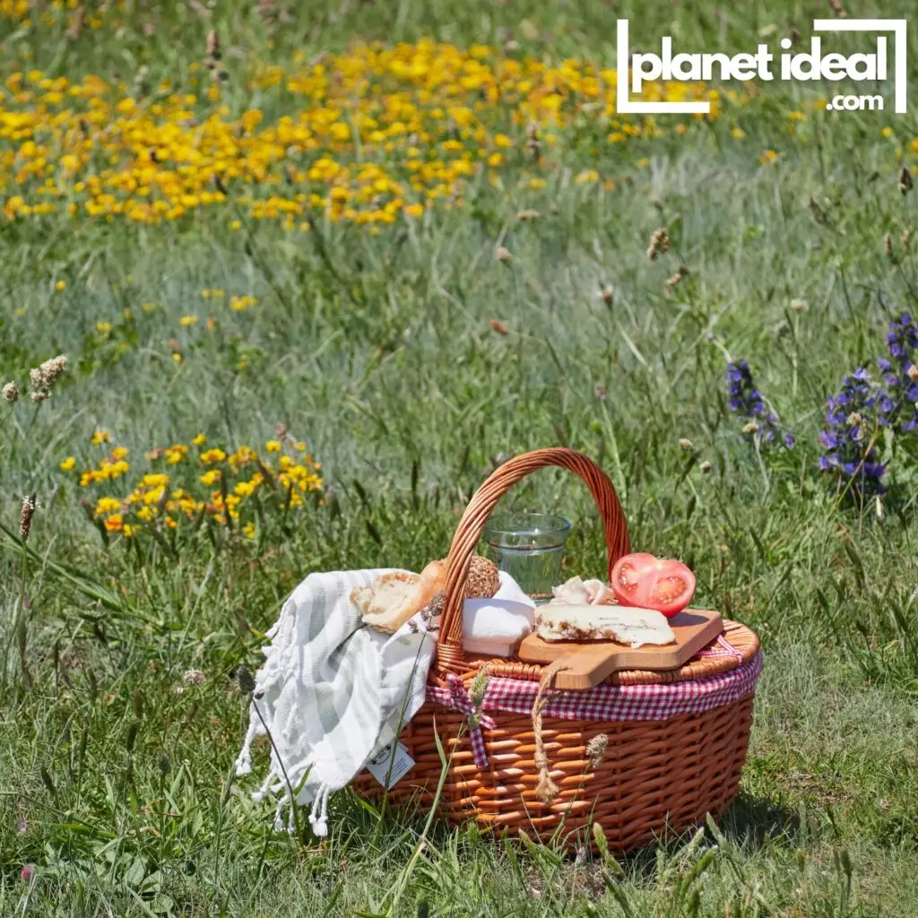 a picnic in a vibrant meadow, surrounded by trees and wildflowers.