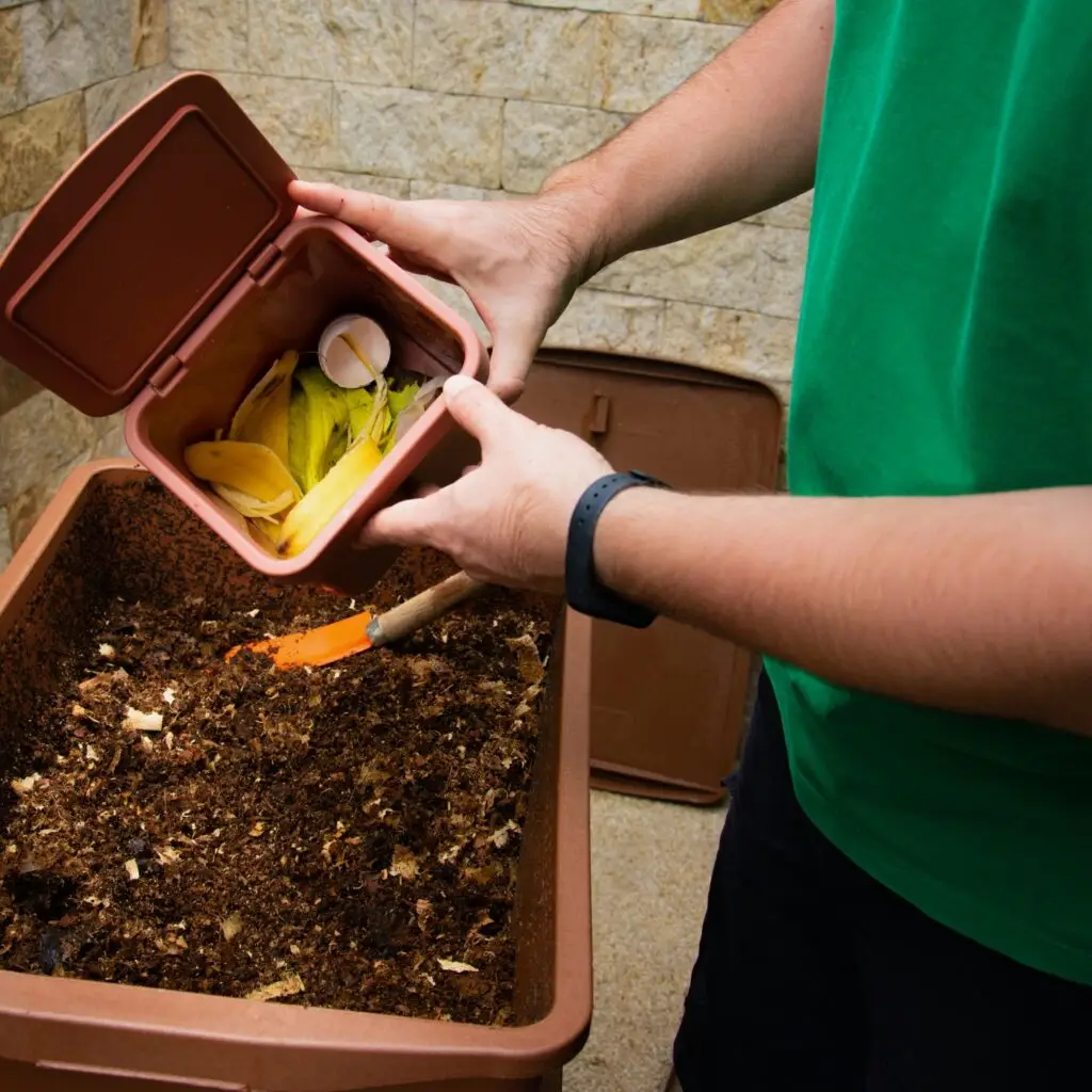 Compost Bin with Organic Waste