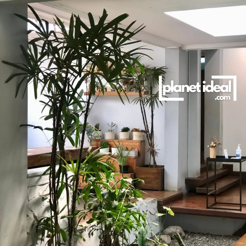 A bright, plant-filled corner with a bamboo side table, bringing nature indoors.