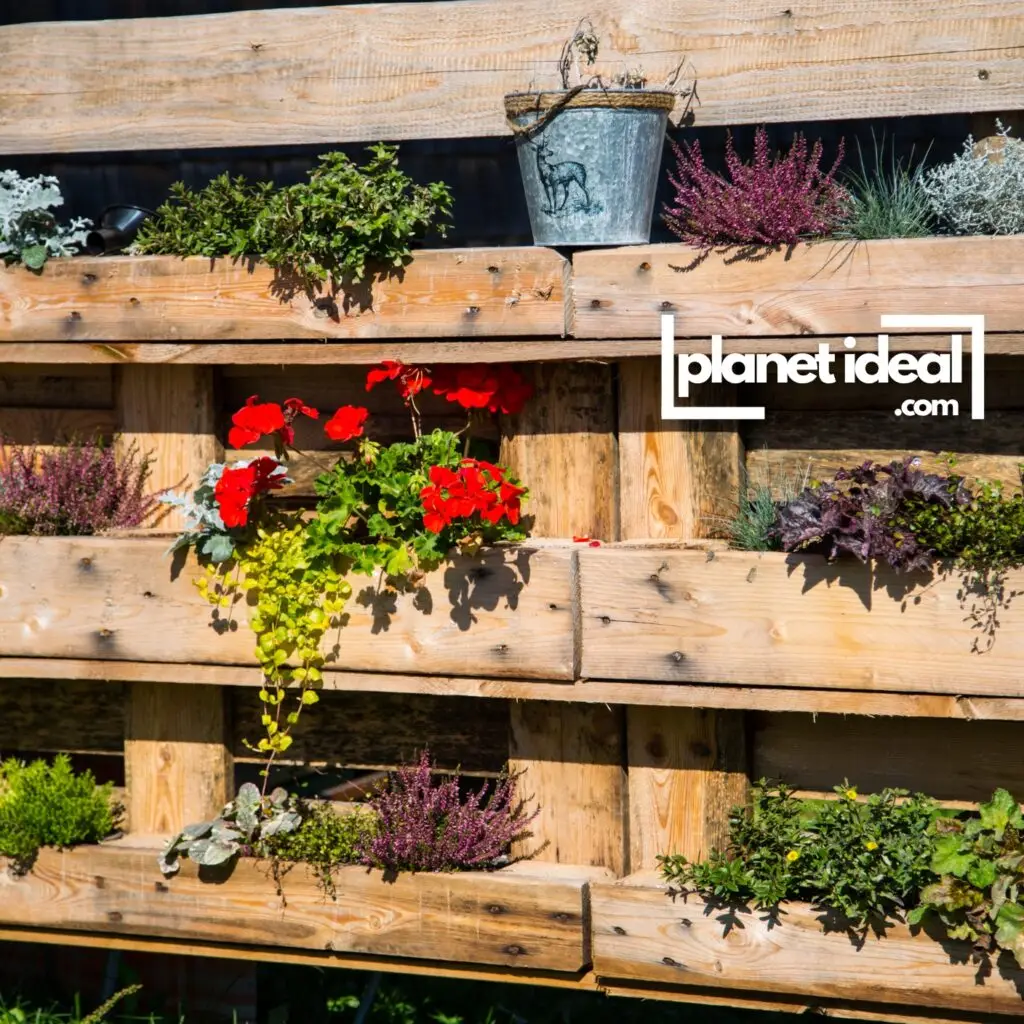 A rustic pallet garden filled with vibrant flowers and vegetables, leaning against a sunny wall.