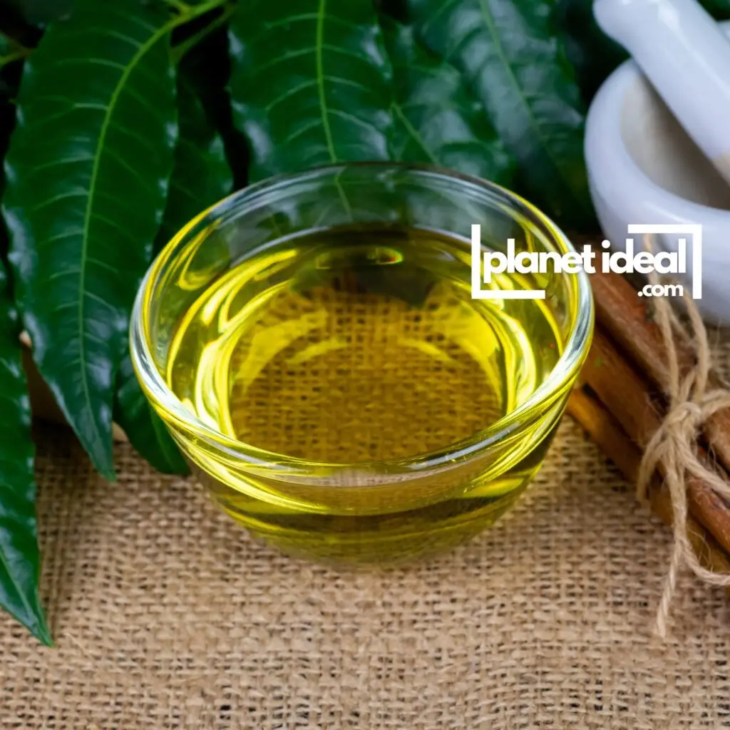 Spraying neem oil on plants against aphids, mites and whiteflies