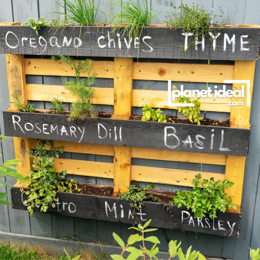 once-forgotten wooden pallet transformed into a stylish planter brimming with vibrant flowers and fresh herbs