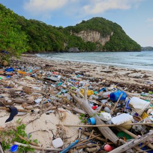 A striking image of a beach littered with plastic waste, juxtaposed with a clean, pristine shoreline