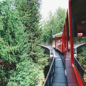 Scenic Train Ride Through Nature