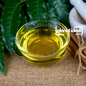 Spraying neem oil on plants against aphids, mites and whiteflies